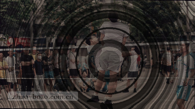 办公电话：010-8765-4321｜邮箱：contact@example.com